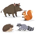 Forest animals set. Raccoon, hedgehog, squirrel and wild boar. Happy smiling and cheerful characters. Vector zoo illustrations