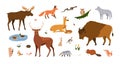 Forest animals set. Wild mammals of woodland. Fox, wolf, bison, elk, deer collection. Woods inhabitants, birds, beasts