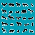 Forest animals. Silhouettes, stickers. Black outline of wild woodland animals. Bear, deer, wolf, fox, owl, hedgehog, squirrel,