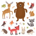 Forest animals. Vector set. Collection of cute characters. Royalty Free Stock Photo