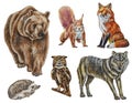 Set of forest animals. Watercolor illustration. Hand drawn. Template.
