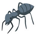 Forest ant icon, isometric style Royalty Free Stock Photo
