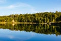 Forest around the lake, beautiful landscape. Reflections on water surface. Meditation in nature concept Royalty Free Stock Photo