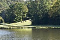 Forest around a lake that turn green simulated the forest