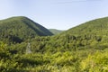 Forest around North Caucasus mountain river in spring Royalty Free Stock Photo