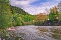 Forest around North Caucasus mountain river. Spring view Royalty Free Stock Photo