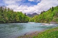 Forest around North Caucasus mountain river. Spring view Royalty Free Stock Photo