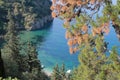 The forest around Valtos beach in Parga Royalty Free Stock Photo