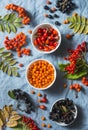 Forest autumn berries - sea buckthorn, ashbery, viburnum, rose hips on a gray background, top view. Super food ingredients Royalty Free Stock Photo