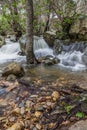 Forest at autumn with creek little cascades.