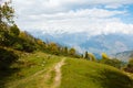 Forest in autumn in himalayan mountains