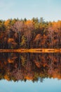 Forest autumn lake fall trees and colorful golden foliage reflection Royalty Free Stock Photo