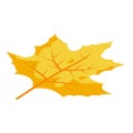 Forest autumn leaf icon, isometric style Royalty Free Stock Photo