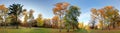 Forest autumn panorama in park Royalty Free Stock Photo