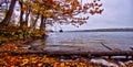 Forest in autumn, Sorknatten Natural Reserve, Dalsland, Sweden.