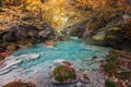 Forest in autumn at the source of the Urederra river, Urbasa natural park, Spain