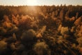 Forest autumn view. Generate Ai