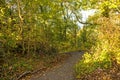 Forest in autumn with way down of a hill with wooden railing Royalty Free Stock Photo