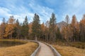 Forest with autumnal colors crossed by a wooden walkway near a Dolomite lake