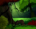 Forest background