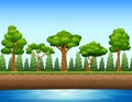 Forest background with river and underground