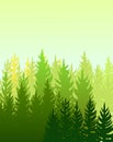 Forest background. Silhouette foggy panorama. Landscape with trees. Conifers. Beautiful view. Summer scene. Illustration Royalty Free Stock Photo
