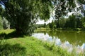 Forest on the banks of the river. Deciduous forest trees and shrubs that have lamellar petiolate leaves. Green grass. Much