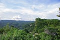 View forest on bantul at yogyakarta