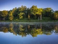 Forest bathed in warm sunrise light reflected in perfect symmetry over calm lake. Royalty Free Stock Photo