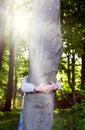 Love nature concept, man hugs a old tree in the sunshine Royalty Free Stock Photo