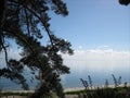 Forest Beach at Clarks Beach New Zealand Royalty Free Stock Photo