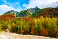 Forest below Jof di Montasio in autumn Royalty Free Stock Photo