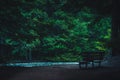 Forest bench by a stream. Royalty Free Stock Photo