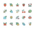 Forest berries colored flat line icons - blueberry, cranberry, raspberry, strawberry, cherry, rowan berry, blackberry Royalty Free Stock Photo