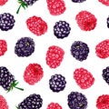 Forest berries, raspberries and blackberries, white background. Royalty Free Stock Photo