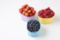 Forest berries, raspberries, blueberries and strawberries in baskets Royalty Free Stock Photo