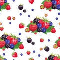 Forest berries seamless pattern on  white background.  Food vector illustration of raspberries, strawberries, blueberries, blackbe Royalty Free Stock Photo