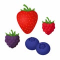 Forest berries - strawberry, blackberry, blueberry and raspberry Royalty Free Stock Photo