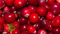 Background of cranberry.Forest berry cranberry. Royalty Free Stock Photo