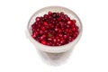 Background of cranberry.Forest berry cranberry. Royalty Free Stock Photo