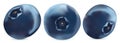 Forest berry. 3d realistic blueberry on white background. Icons blueberry close up. Vector illustration. Royalty Free Stock Photo