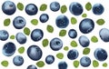 Forest berry with leaft in motion. Top view. Collection fresh ripe blueberry. 3d realistic blueberry on white background