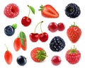 Forest berry. Sweet fruit. 3d vector icons set