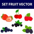 6 sweet berries icons set Royalty Free Stock Photo