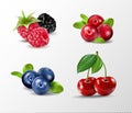 Forest berry. Sweet fruit. Realistic illustration. 3d vector icon set Royalty Free Stock Photo