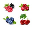 Forest berry. Sweet fruit. Realistic illustration. 3d vector icon set Royalty Free Stock Photo