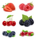Forest berry. Sweet fruit. Realistic illustration. Vector icon set Royalty Free Stock Photo