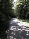 Forest bicycle road