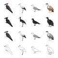 Forest bird, woodpecker, stork, seagull, vulture. Bird set collection icons in cartoon black monochrome outline style