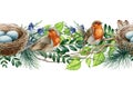 Forest birds seamless border. Watercolor illustration. Robin birds with nest in tree pine, boxwood, birch branches